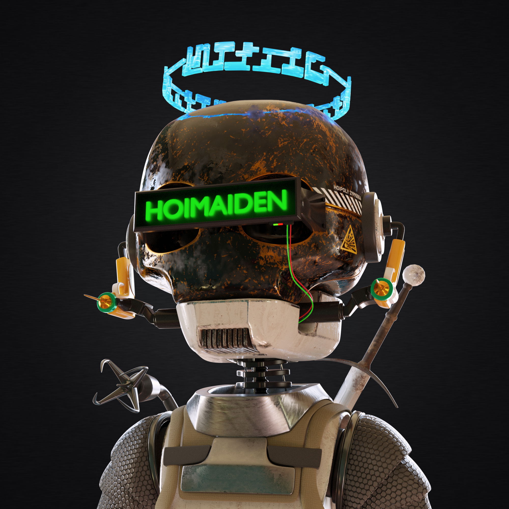 Hoimaiden #429 NFT on Algorand