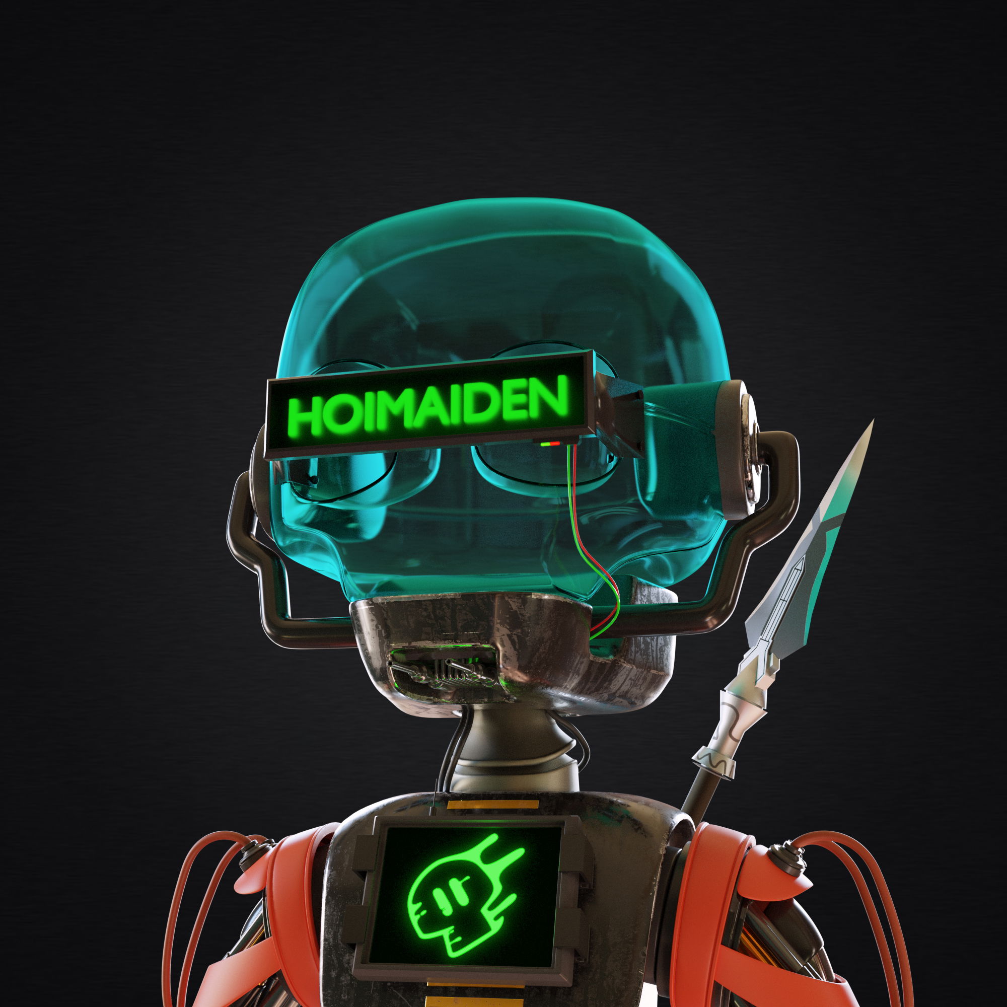 Hoimaiden #593 NFT on Algorand