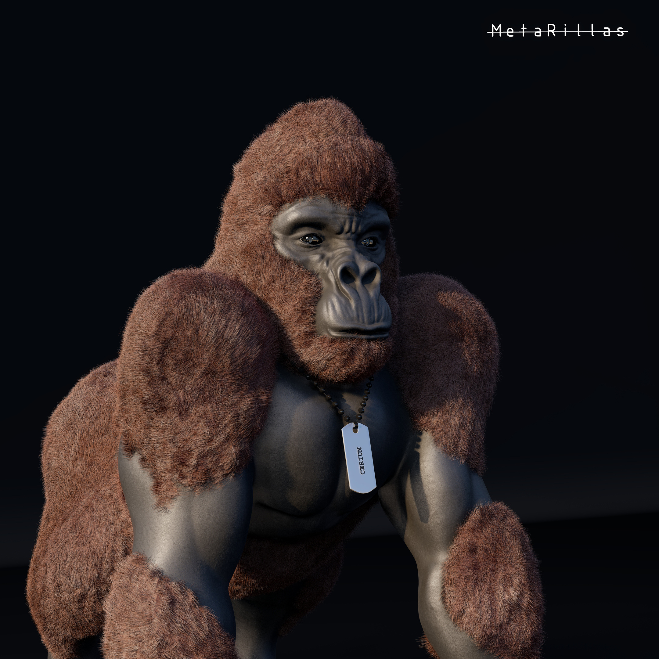 Stacked MetaRilla#19 NFT on Algorand